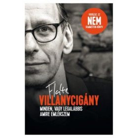 Flake Lorenz: Villanycigány