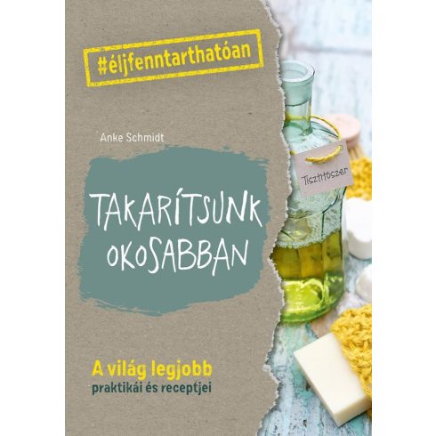 Anke Schmidt: Takarítsunk okosabban