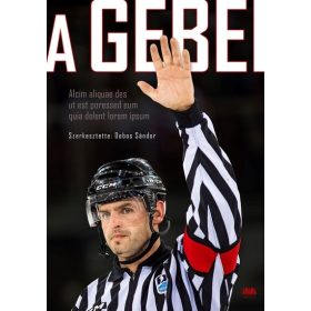 Dobos Sándor: A GEBEI