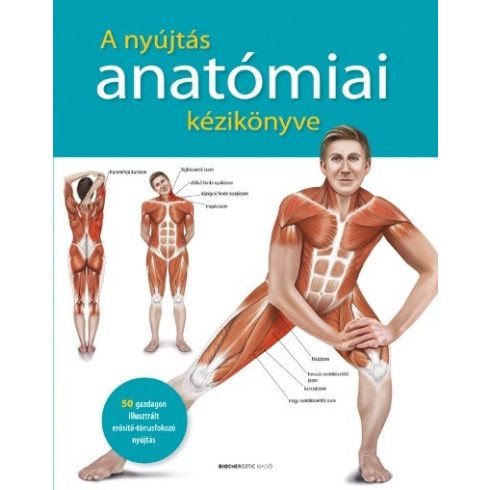Prof. dr. Ken Ashwell: A nyújtás anatómiai kézikönyve