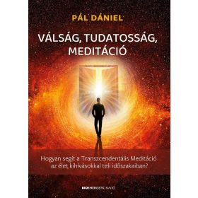 Pál Dániel: Válság, tudatosság, meditáció