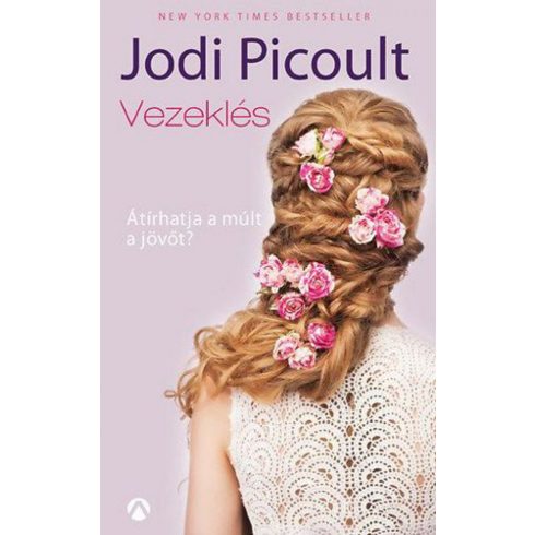 Jodi Picoult: Vezeklés