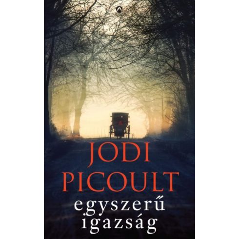 Jodi Picoult: Egyszerű igazság