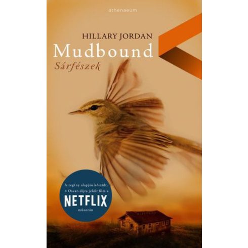 Hillary Jordan: Mudbound - Sárfészek