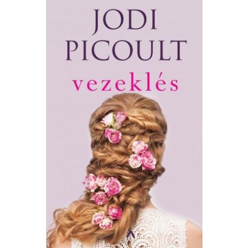 Jodi Picoult: Vezeklés