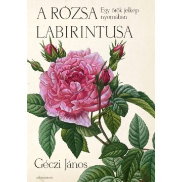 Géczi János: A rózsa labirintusa
