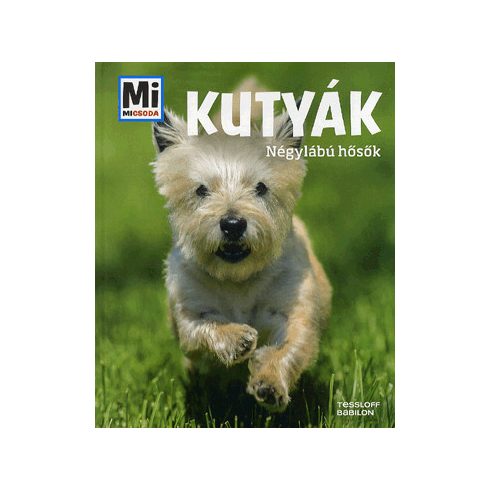 Christine Paxmann: Kutyák