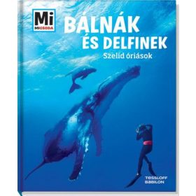 Martin Kaluza: Bálnák és delfinek