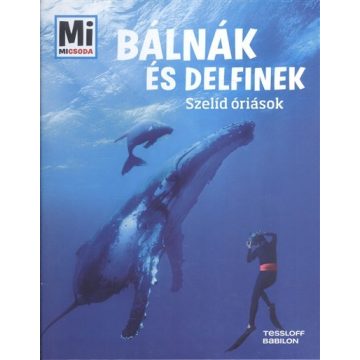 Martin Kaluza: Bálnák és delfinek