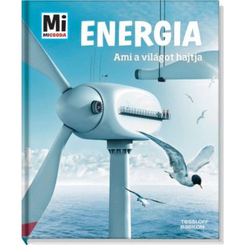 Laura Hennemann: Energia