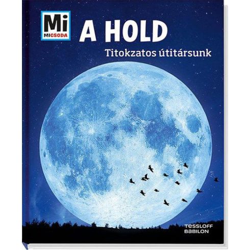 Manfred Baur: A Hold - Titokzatos útitársunk