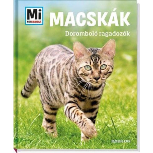 Jutta Aurahs: Macskák- doromboló ragadozók