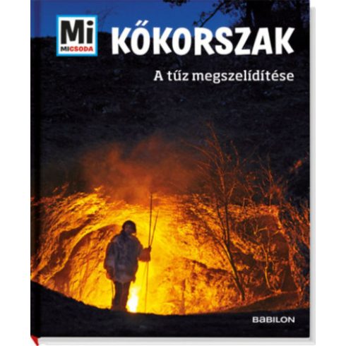 Andrea Schaller: Kőkorszak - A tűz megszelídítése - Mi micsoda