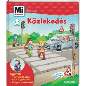 Christina Braun: Közlekedés - Mi micsoda Junior 8.