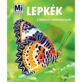 Nicole Röndigs: Lepkék - Mi MICSODA