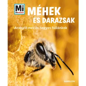 Alexandra Rigos: Méhek és darazsak – Mi MICSODA