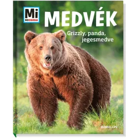 Alexandra Mayer: Medvék - Mi MICSODA