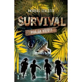 Andreas Schlüter: Survival 4. - Piráják között