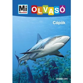 Christina Braun: Cápák - Mi MICSODA Olvasó