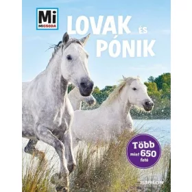 Silke Behling: Mi MICSODA Lovak és pónik - album