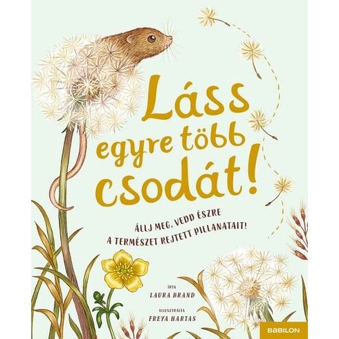 Laura Brand: Láss egyre több csodát!