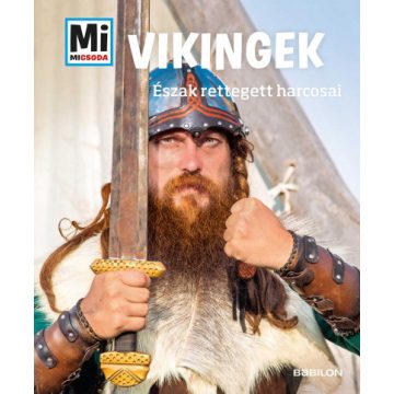 Andrea Schaller: Vikingek - Mi MICSODA