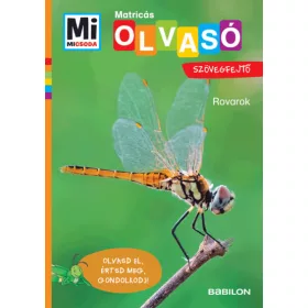   Christina Braun: Rovarok - Mi Micsoda Olvasó - Matricás szövegfejtő