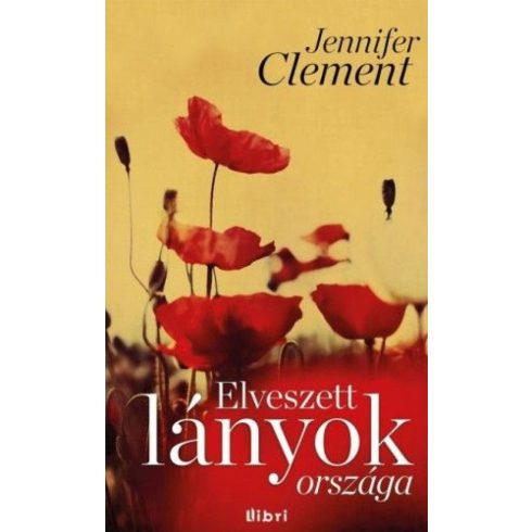 Jennifer Clement: Elveszett lányok országa