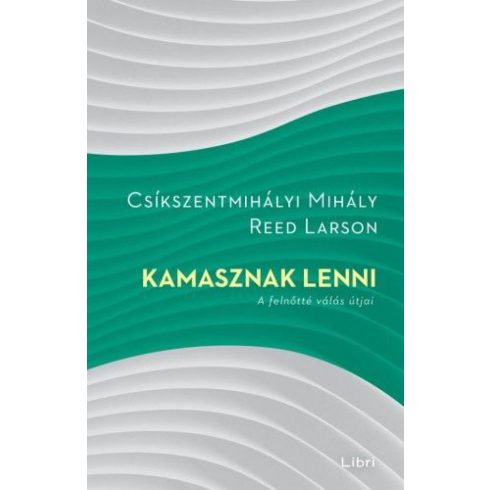 Csíkszentmihályi Mihály, Reed Larson: Kamasznak lenni - A felnőtté válás útjai