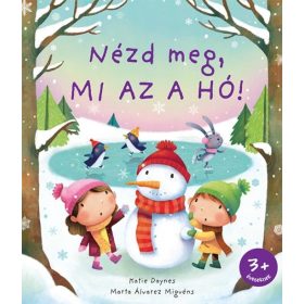 Katie Daynes: Nézd meg, mi az a hó!