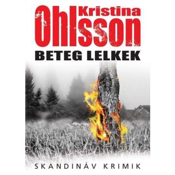 Kristina Ohlsson: Beteg lelkek