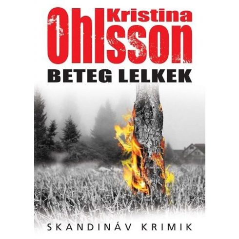 Kristina Ohlsson: Beteg lelkek