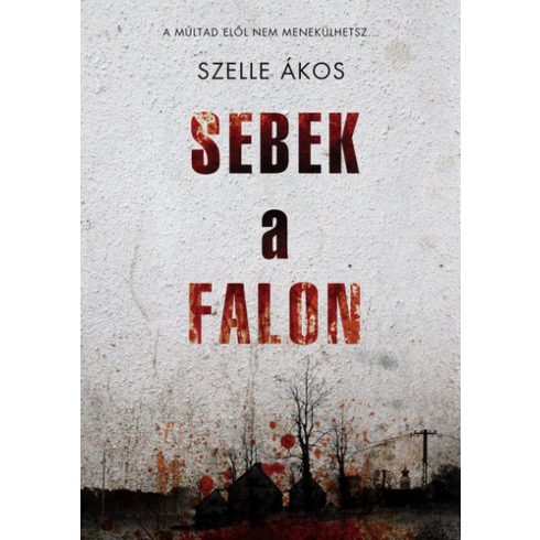 Szelle Ákos: Sebek a falon