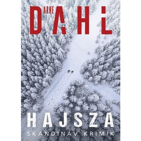 Arne Dahl: Hajsza