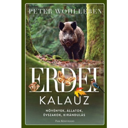 Peter Wohlleben: Erdei kalauz - Növények, állatok, évszakok, kirándulás (antikvár)