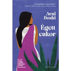 Avni Doshi: Égett cukor