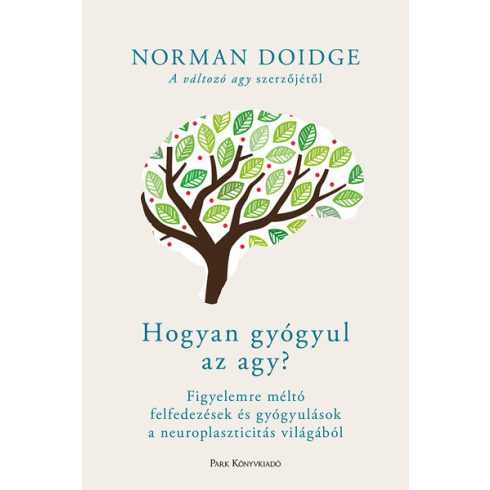 Norman Doidge: Hogyan gyógyul az agy?