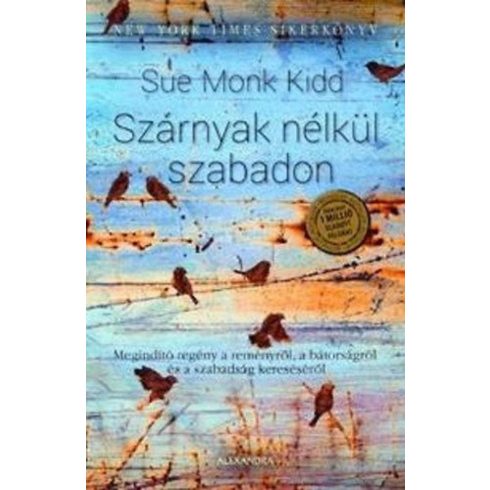 Sue Monk Kidd: Szárnyak nélkül szabadon