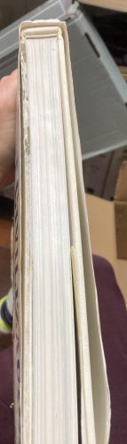 Fabio Bourbon – Valeria Manferto de Fabianis: Letűnt civilizációk nyomában