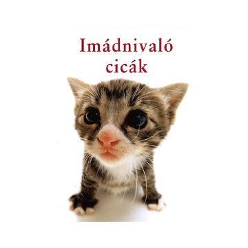 Linda Macfarlane, Stuart Macfarlane: Imádnivaló cicák