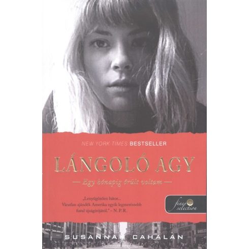 Susannah Cahalan: Lángoló agy