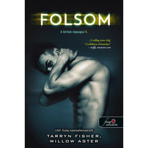 Tarryn Fisher, Willow Aster: Folsom