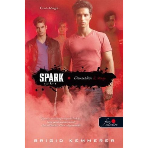 Brigid Kemmerer: Spark - Szikra