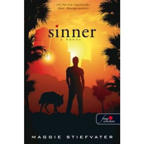 Maggie Stiefvater: Sinner - A bűnös (kemény táblás)