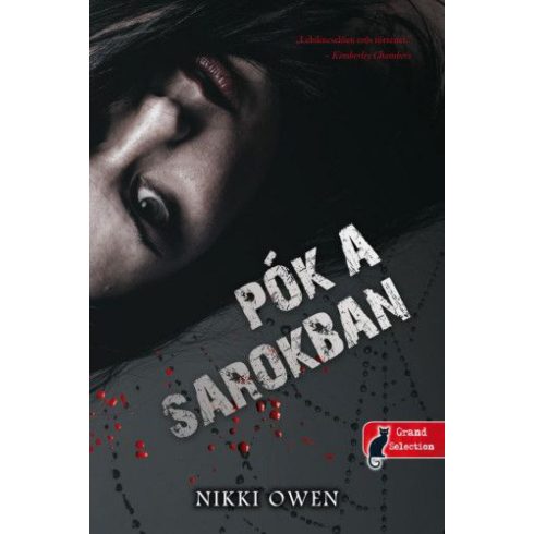 Nikki Owen: Pók a sarokban