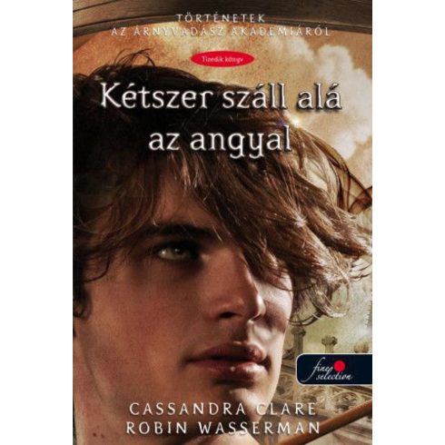 Cassandra Clare, Robin Wasserman: Kétszer száll alá az angyal