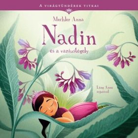 Mechler Anna: Nadin és a varázstégely