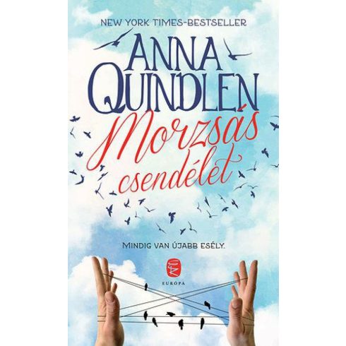 Anna Quindlen: Morzsás csendélet