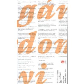 Gárdonyi Géza: Egri csillagok - Európa Diákkönyvtár