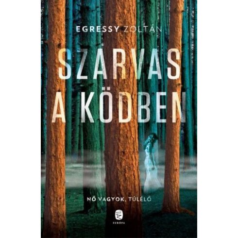 Egressy Zoltán: Szarvas a ködben